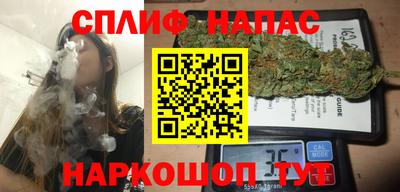 сатива Лесосибирск