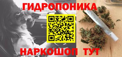 сатива Лесосибирск