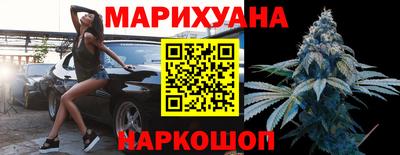 сатива Лесосибирск