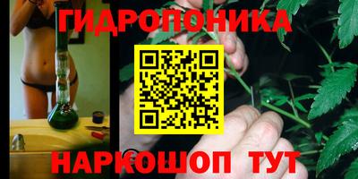 гидропоника Ликино-Дулёво