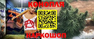 гидропоника Ликино-Дулёво