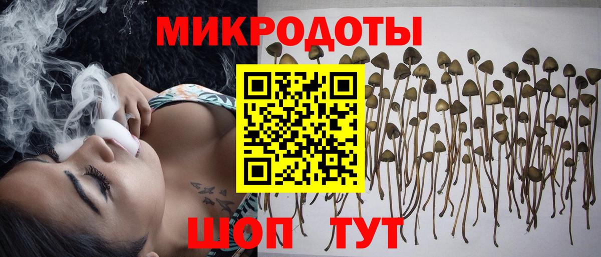 закладки  Псилоцибиновые грибы Magic Shrooms  Вход с VPN  Усть-Илимск 