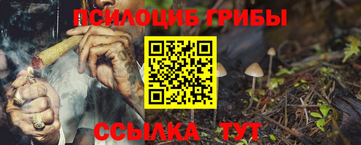 Галлюциногенные грибы Cubensis Усть-Илимск